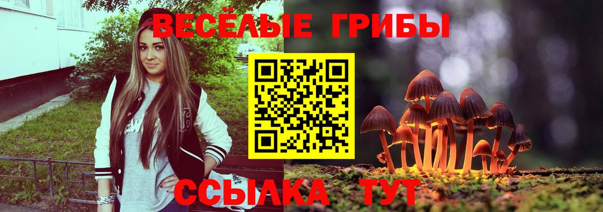 Галлюциногенные грибы Cubensis  Вход с VPN  Белогорск 